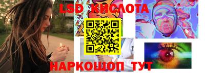 apvp Ярославль